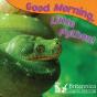 Good Morning, Little Python! - Preview