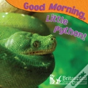 Capa do artigo Good Morning, Little Python!