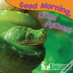 Capa do artigo Good Morning, Little Python!