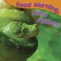 Good Morning, Little Python! - Preview