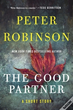 Capa do artigo Good Partner