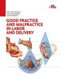 Good Practice And Malpractice In Labor And Delivery - Preview