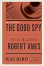 Good Spy - Preview