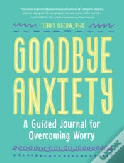 Capa do artigo Goodbye, Anxiety