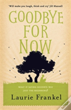 Capa do artigo Goodbye For Now