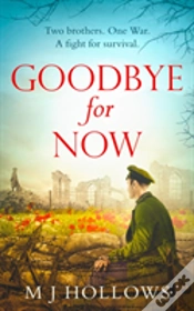 Capa do artigo Goodbye For Now