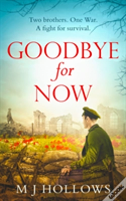 Capa do artigo Goodbye For Now