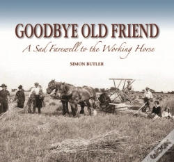 Capa do artigo Goodbye Old Friend