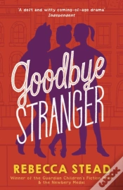 Capa do artigo Goodbye Stranger