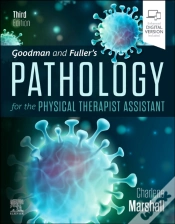 Capa do artigo Goodman And Fuller