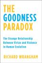 Goodness Paradox - Preview