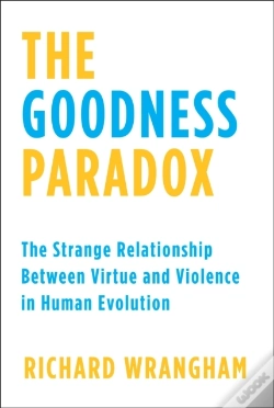Capa do artigo Goodness Paradox