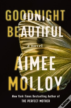 Capa do artigo Goodnight Beautiful