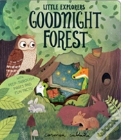 Capa do artigo Goodnight Forest