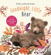 Goodnight, Little Bear