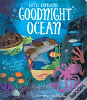 Capa do artigo Goodnight Ocean