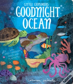 Capa do artigo Goodnight Ocean
