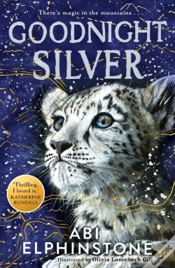 Capa do artigo Goodnight Silver