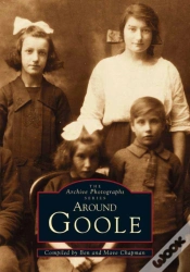 Capa do artigo Goole