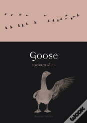 Capa do artigo Goose