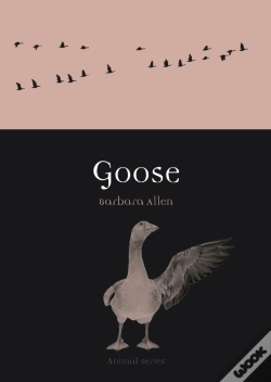 Capa do artigo Goose