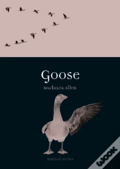 Capa do artigo Goose