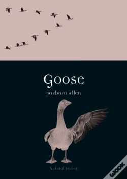 Capa do artigo Goose