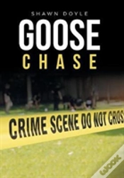Capa do artigo Goose Chase