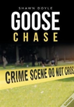 Capa do artigo Goose Chase