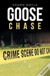 Capa do artigo Goose Chase