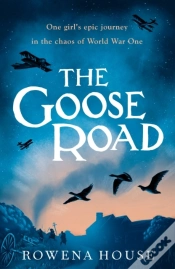 Capa do artigo Goose Road