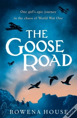 Capa do artigo Goose Road