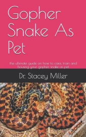 Gopher Snake As Pet