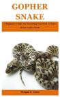 Gopher Snake - Preview