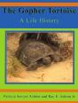 Gopher Tortoise - Preview