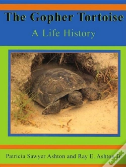 Capa do artigo Gopher Tortoise