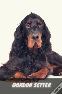 Capa do artigo Gordon Setter