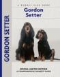 Gordon Setter - Preview