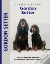 Gordon Setter