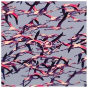 Capa do artigo Gore - CD