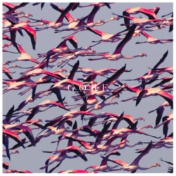 Capa do artigo Gore - CD