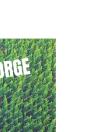 Gorge - Preview