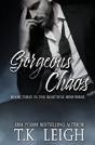 Gorgeous Chaos - Preview