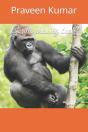 Gorilla Drawing Book - Preview