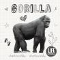 Gorilla - Preview