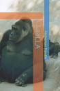 Gorilla - Preview