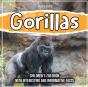 Gorillas - Preview