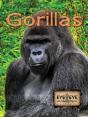 Gorillas (E2e) - Preview