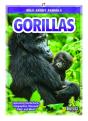Gorillas - Preview