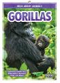 Gorillas - Preview